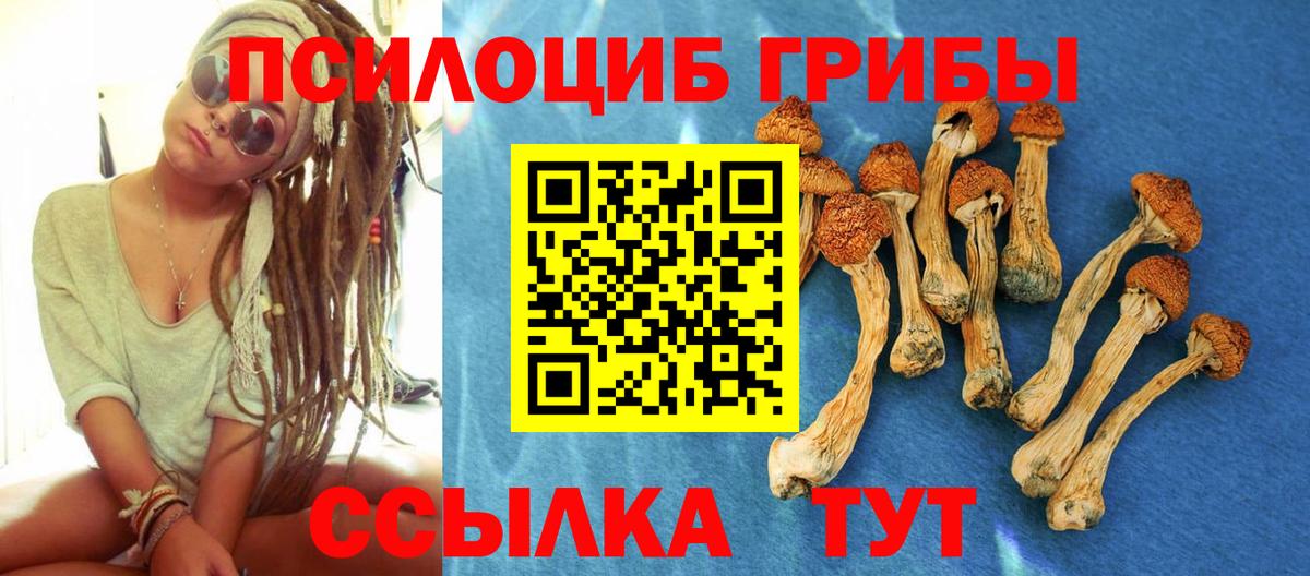 Галлюциногенные грибы мицелий Кызыл