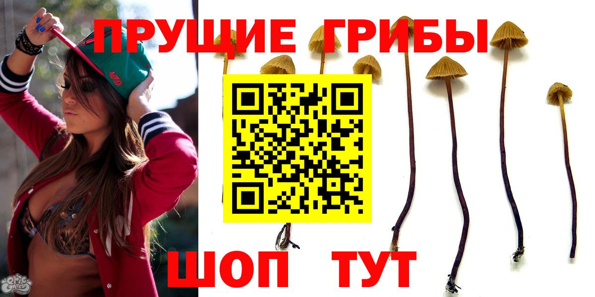 Галлюциногенные грибы мицелий  Галлюциногенные грибы Psilocybine cubensis  Кызыл  купить наркотики цена  Вход с VPN 